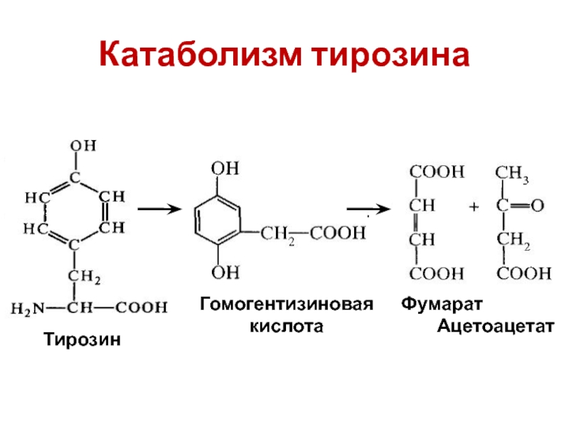 Селен тирозин. Тирозин строение. Гомогентизиновая кислота Синтез. Реакция миллона на тирозин. Тирозин реакции.
