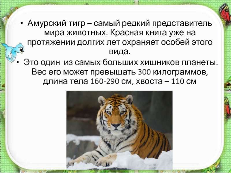 Составь план рассказа используя следующие вопросы как у забавного зверька появилось имя что означает