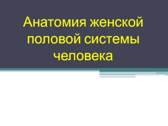 Анатомия женской половой системы человека