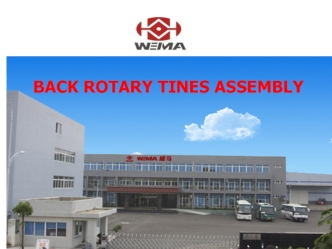 Back rotary tines assembly