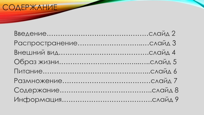 Живое содержание это. Живое содержание это