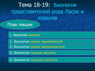 Биология представителей рода ласок и хорьков