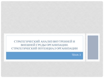 Стратегический анализ внутренней и внешней среды организации. Стратегический потенциал организации