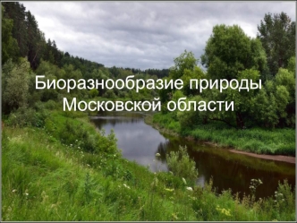 Биоразнообразие природы Московской области