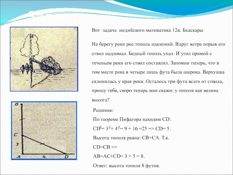 Инд задания. Задача индийского математика Бхаскары. Задача индийского математика Бхаскары треугольник. Колесо Бхаскары чертеж.