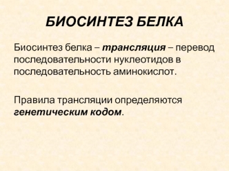 Биосинтез белка