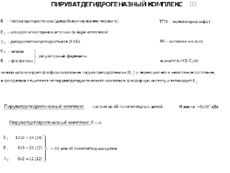 Пируватдегидрогеназный комплекс