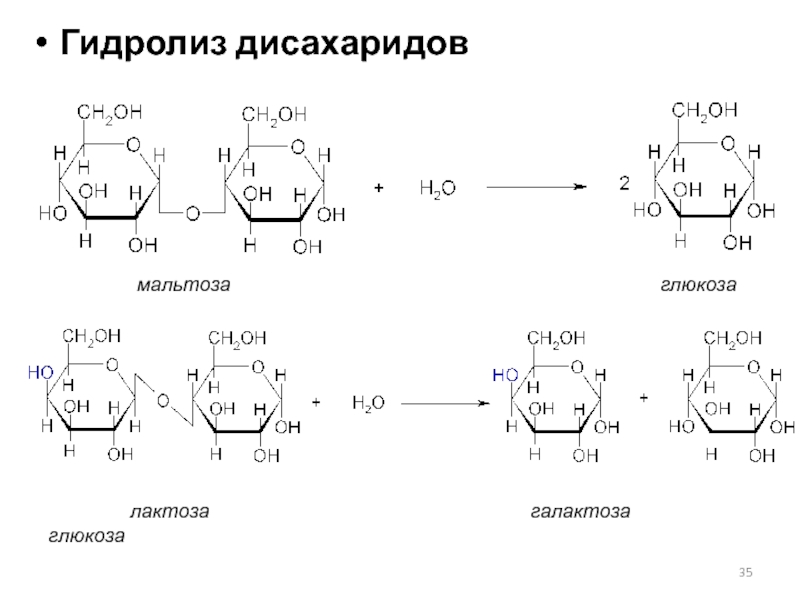 Фруктоза продукт гидролиза. Реакция гидролиза лактозы. При гидролизе лактозы образуются. Гидролиз Альфа лактозы. Гидролиз дисахаридов лактозы.