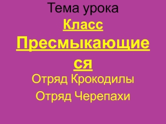 Класс Пресмыкающиеся. Отряд Крокодилы. Отряд Черепахи