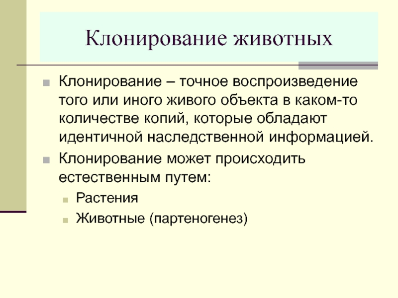 Идентичная генетическая информация. Прикладная генетика. На чем основан метод клонирования. Клонирование религиозные аспекты.