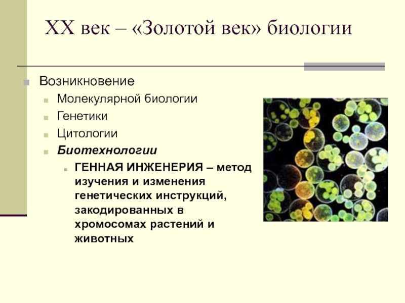 Происхождения биологии. Прикладная генетика. Генетика реферат по биологии. Биотехнологии молекулярная биология генетика. Реферат по генетике.