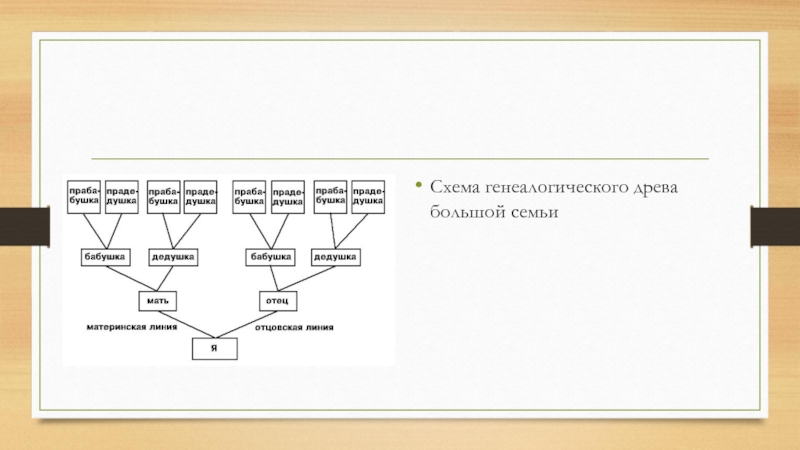 Генеалогическое древо презентация