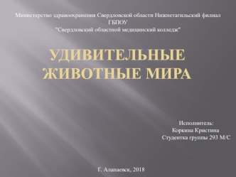 Удивтельные животные мира