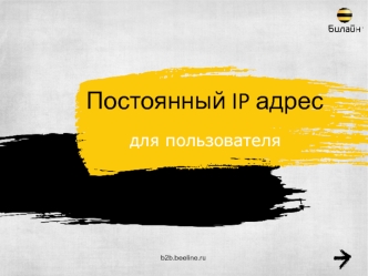 Постоянный IP адрес для пользователя. Билайн