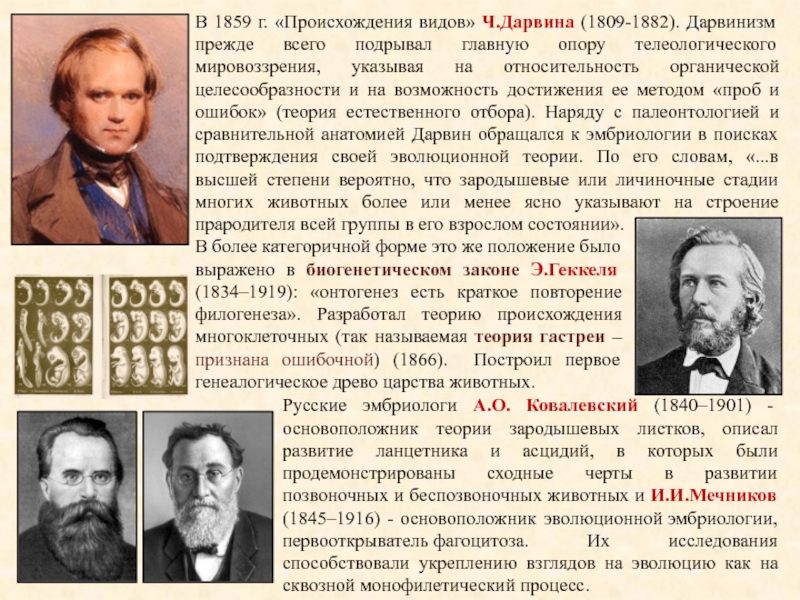 Возникновение дарвинизма. Основоположник эволюционной эмбриологии. Этапы развития дарвинизма. Теория Дарвина 1859. Дарвин происхождение видов.