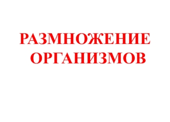 Размножение организмов. (Лекция 5)