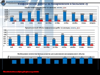 Геофизические работы на Казарменском и Бельском лу