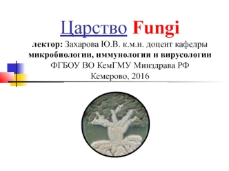 Царство Fungi