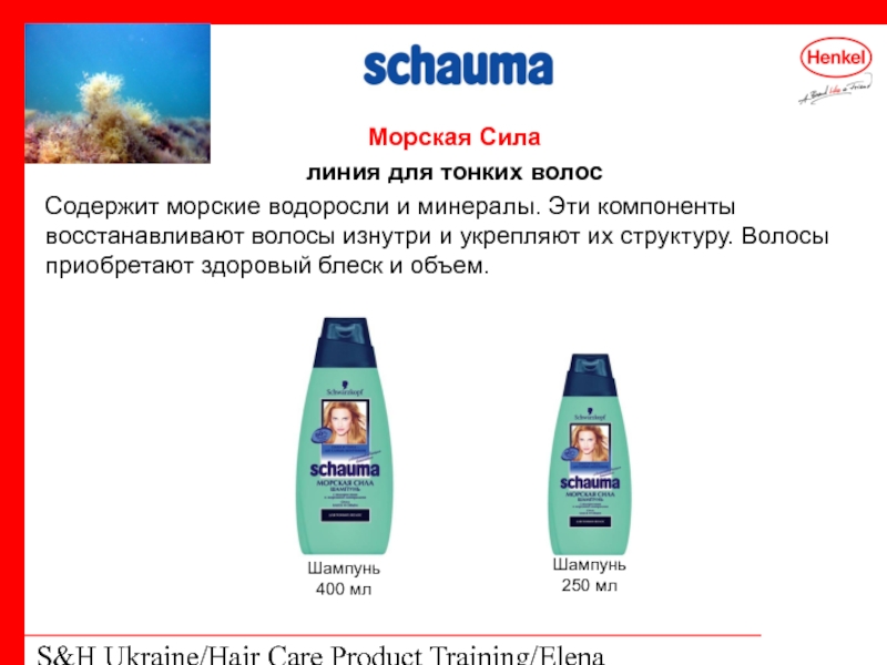 S&H Ukraine/Hair Care Product Training/Elena Kohtyuk Морская Сила линия для тонких волос
