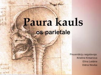 Paura kauls os parietale