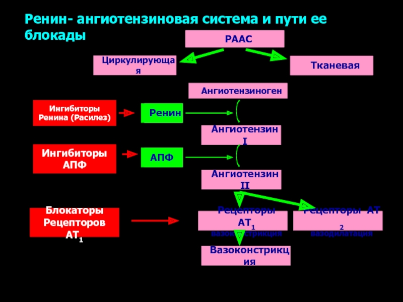 Рецепторы ангиотензина