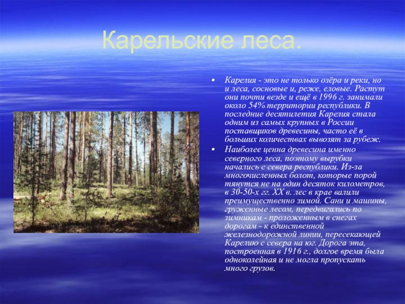 Сообщение о карелии. Презентация на тему Карелия. Проект Карелия. Леса Карелии презентация.