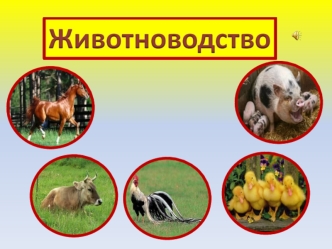 Животноводство. Отрасли животноводства
