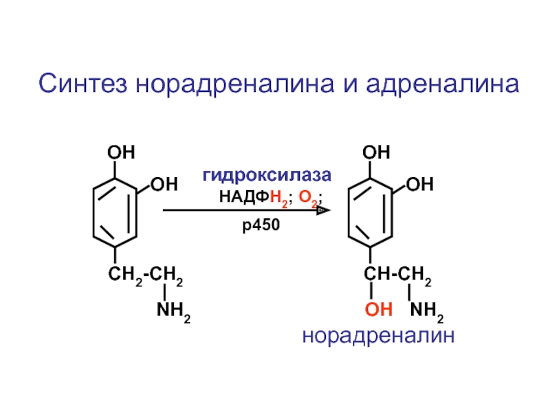 Адреналин и норадреналин отличие