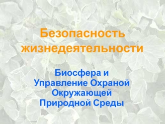 Безопасность жизнедеятельности. Биосфера и управление охраной окружающей природной среды