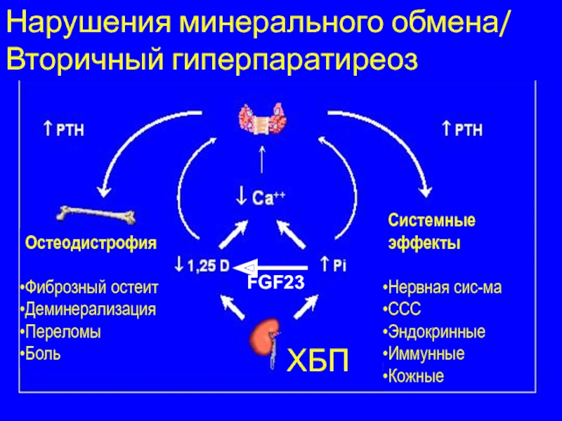 Нарушение минерального обмена веществ