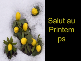 Salut au Printemps