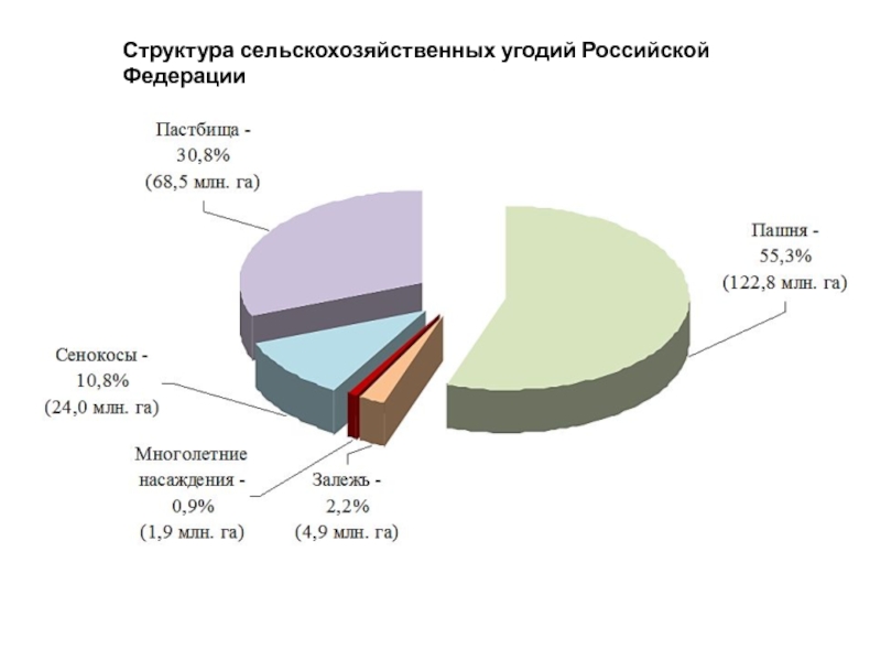 Аграрная структура. Структура сельскохозяйственных угодий Российской Федерации. Структура сельхоз уголдий. Сельскохозяйственные угодья диаграмма. Структура сельского хозяйства России.