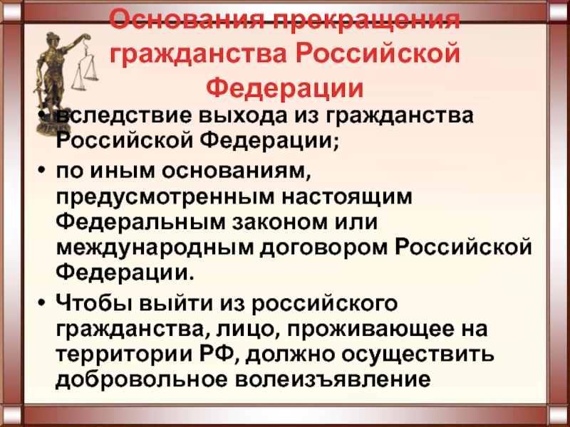 Гражданин российской федерации 10 класс презентация