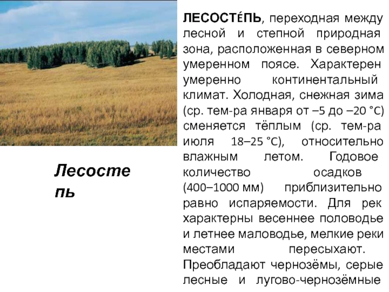 Пояс лесостепи в россии. Климат лесостепи. Лесостепь это переходная зона. Климат лесостепи в России. Серые Лесные почвы лесостепной зоны.