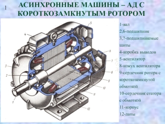 Асинхронные машины – АД с короткозамкнутым ротором