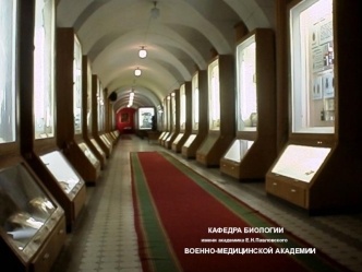 Количественные признаки. Близнецовый метод в оценке наследственности