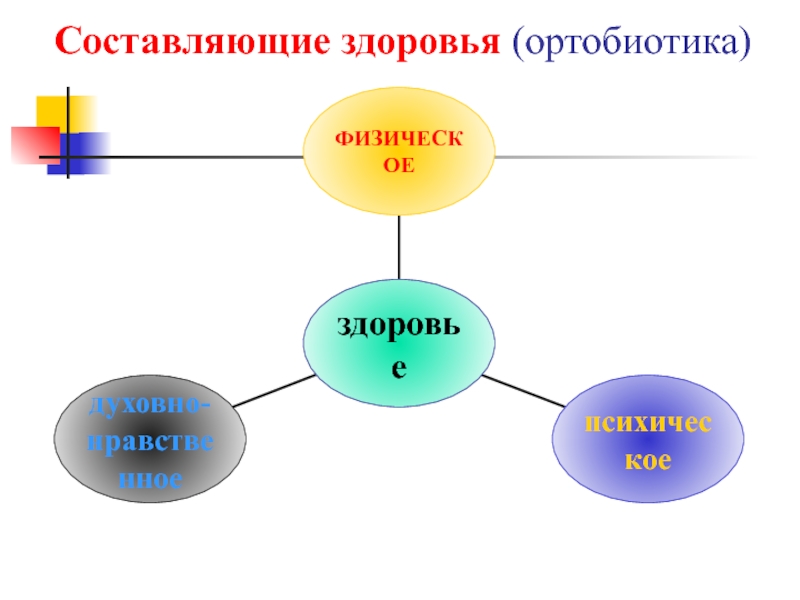 Составляющие здоровья. 3 Составляющие здоровья. Технология ортобиотика. 4 Составляющие здоровья. Проект в ДОУ по ортобиотике.