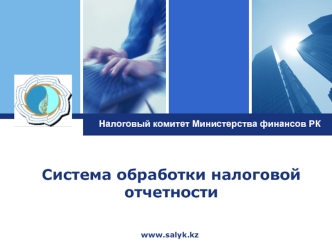Система обработки налоговой отчетности Logo