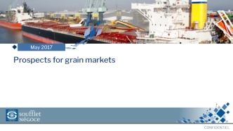 Prospects for grain markets