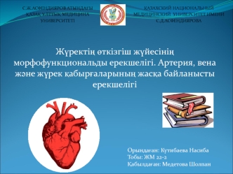 Жүректің өткізгіш жүйесінің морфофункциональды ерекшелігі. Артерия, вена және жүрек қабырғаларының жасқа байланысты ерекшелігі