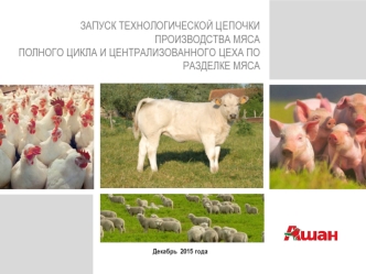 Запуск технологической цепочки производства мяса полного цикла и централизованного цеха по разделке мяса