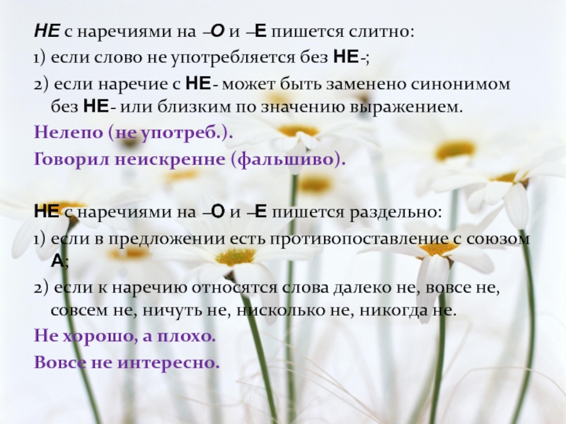 Неискренне синоним без не. Ромашка наречий. Неискренний синоним без не. Неискренне употребляется без не.