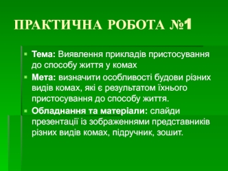 Практична робота №1. Виявлення прикладів пристосування до способу життя у комах