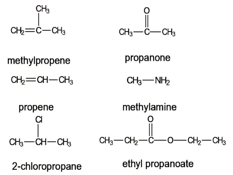 Текст слайда. methylamine. methylpropene. ethyl propanoate. propene. propan...