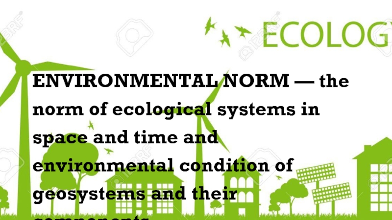 ENVIRONMENTAL NORM — the norm of ecological systems in space and time and environmental condition of