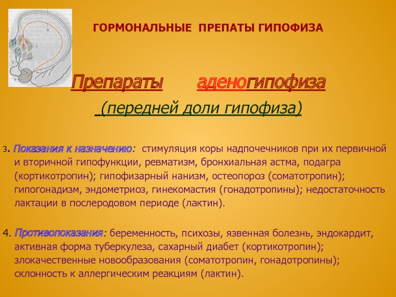 Стимулирует кору надпочечников. Препарат для стимуляции коры надпочечников. Гормональный препарат для стимуляции коры надпочечников. Сарпиты препат.