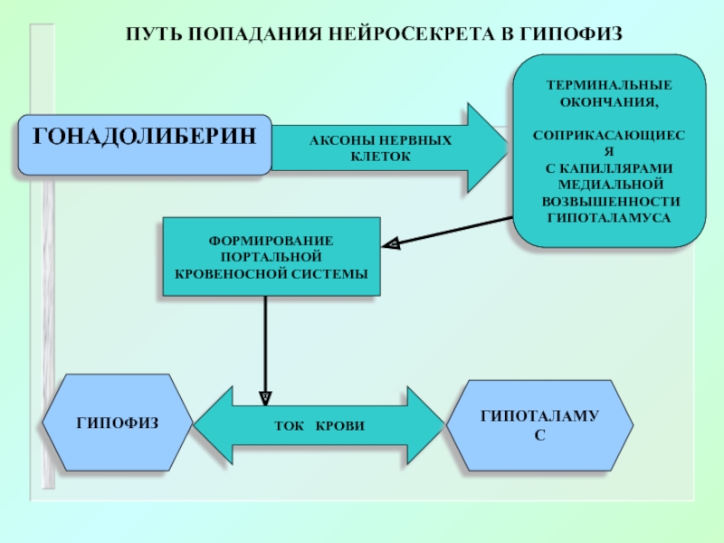 Пути попадания