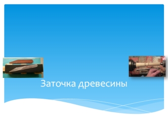 Заточка древесины. Древесные породы и их свойства