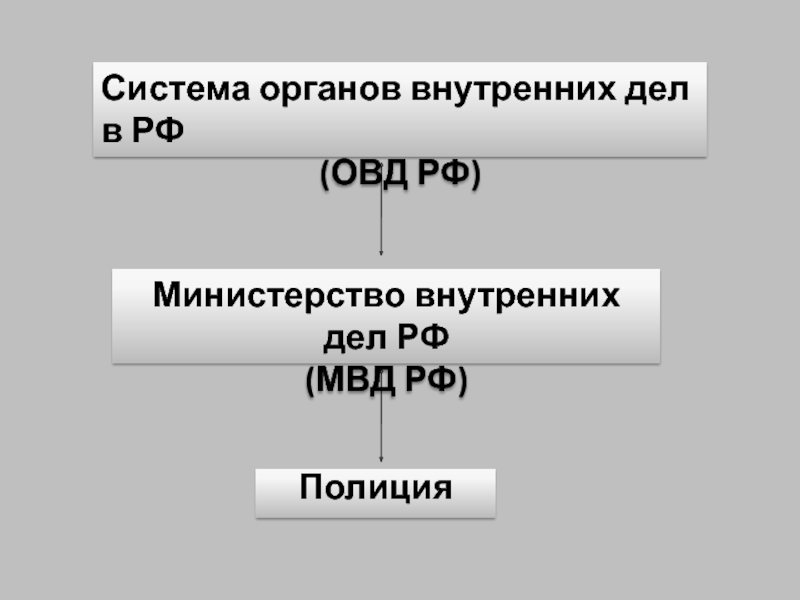 Схема системы органов внутренних дел