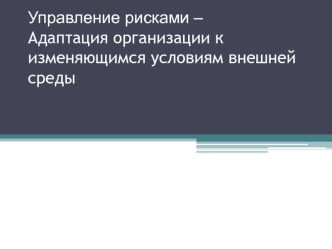 Управление рисками. Адаптация организации к изменяющимся условиям внешней среды